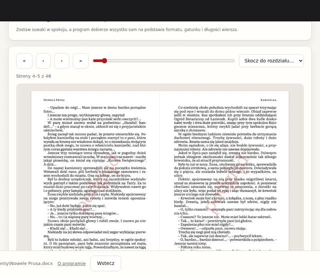 Podgląd stron złożonej książki